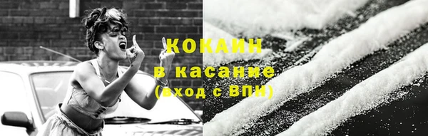 индика Кинешма