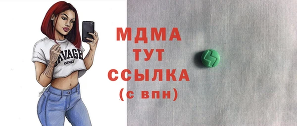 индика Кинешма