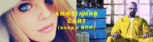 индика Кинешма