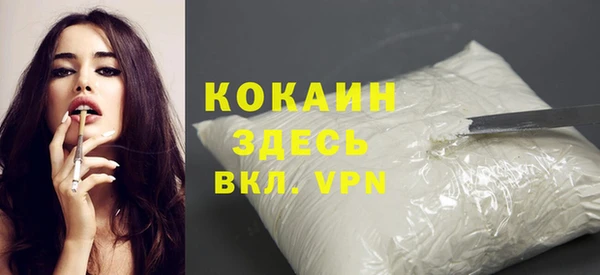индика Кинешма
