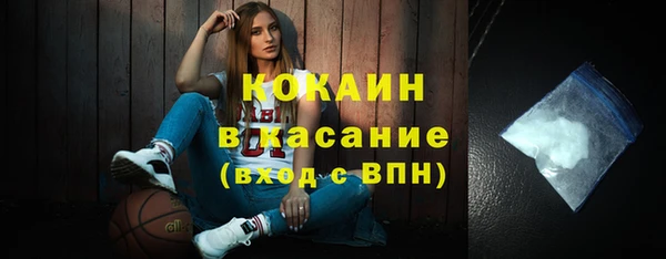 индика Кинешма