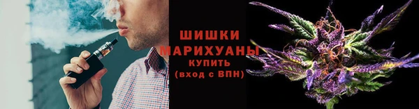 индика Кинешма