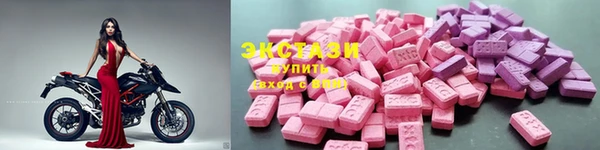 индика Кинешма