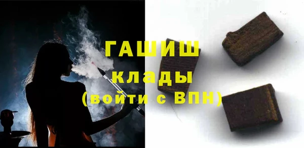 индика Кинешма