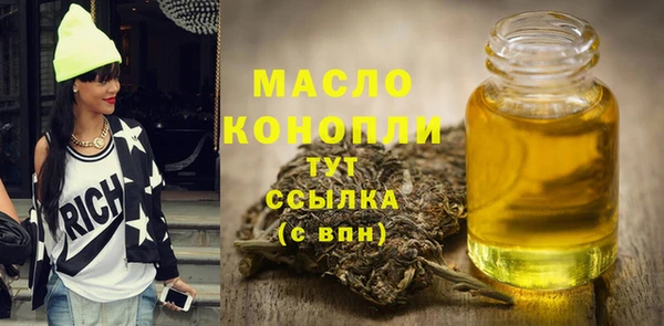 индика Кинешма
