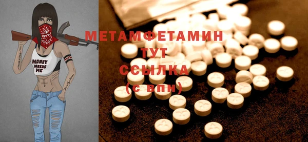 индика Кинешма