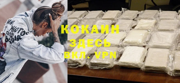 индика Кинешма