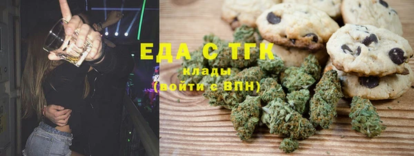 индика Кинешма