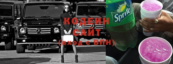 индика Кинешма