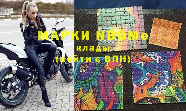 индика Кинешма