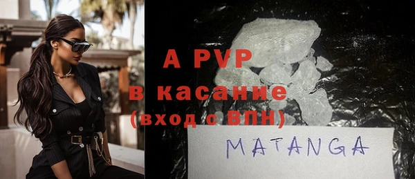 индика Кинешма