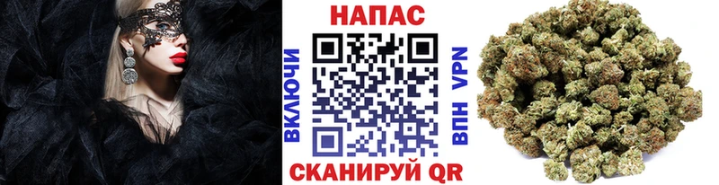 Купить где  Монино  МАРИХУАНА SATIVA & INDICA 
